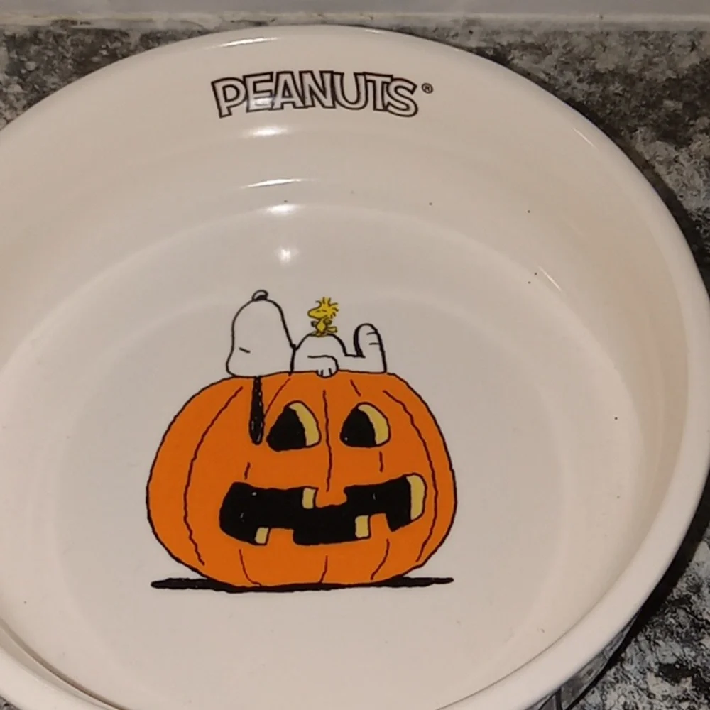 Rae Dunn Snoopy Bowl BRAND NEW